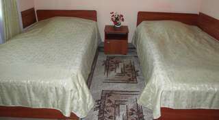 Гостиница Дворянское Гнездо Смоленск Стандартный двухместный номер с 2 отдельными кроватями-3