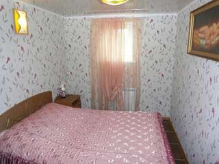Гостиница Дворянское Гнездо Смоленск Классический двухместный номер с 1 кроватью-5